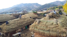 배울 사람 없어요…600년역사 낙안읍성 이엉이기 명맥 끊길라