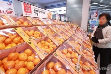 겨울철 대표 과일 귤 가격 쑥