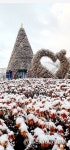 Foto de resultados de búsqueda de Naver 1