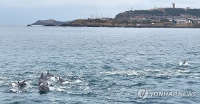 제주 바다엔 남방큰돌고래가 산다