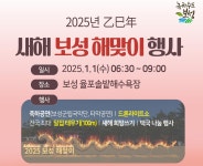 드론 700대로 새해맞이…보성 율포해수욕장서 해돋이 행사