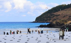 겨울 제주 바다