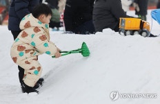크리스마스트리 모양 눈
