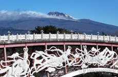 한라산 품은 서귀포의 겨울