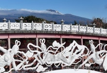 한라산 품은 서귀포의 겨울