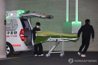 무안 참사, 생존한 제주항공 승무원이 조류 충돌로 지목하여 사고 원인 논란 확산