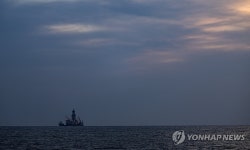 대왕고래 앞날은