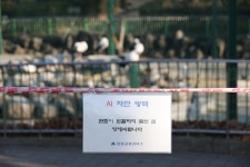 [르포] 침팬지·코끼리도 겨울은 힘들다…썰렁한 대구 달성공원