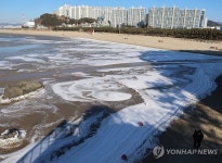 눈 내린 듯한 다대포해수욕장