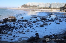 부산 다대포해수욕장 얼린 한파