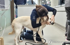 [샷!] 울지 말고 잘 가…참사로 둥이도 가족을 잃었다
