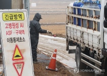 전남 담양 오리농장서 고병원성 AI…전국 27번째 사례