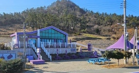 주민 100명 거주 신안 퍼플섬에 연매출 1억 카페