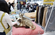 냥냥펀치캣쇼, 고양이 가구 살펴보는 애묘인