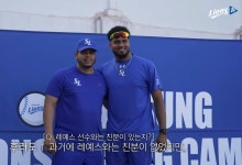 프로야구 삼성 후라도 