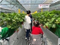 스마트농장서 힐링…서울시, 치유농업 프로그램 운영