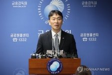 금감원, 2024년 금융지주·은행 등 주요 검사결과 발표