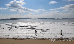 얼어붙은 동막해수욕장