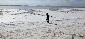 한파가 찾아온 동막해수욕장