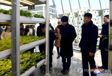 주북 베트남 대사관 성원들 강동종합온실농장 참관
