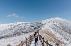 [픽!단양] 순백의 설경 뽐내는 소백산·보발재
