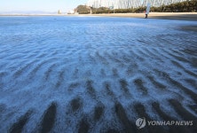 부산 다대포해수욕장 얼음