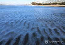 부산 다대포해수욕장 얼음