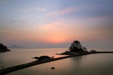 [걷고 싶은 길] 노벨문학도시 장흥의 한승원 문학 길