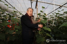 오이 재배 농가 찾은 강호동 농협중앙회장