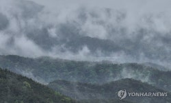 팔공산 탐방로 12개 구간 4월 30일까지 통제…산불 방지 차원