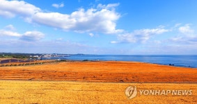 제주 마장굴·해안목장 유적지 신천목장에 리조트 개발 논란