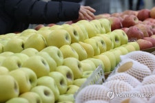 신선 과일 수입 증가