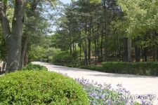 안양 관악수목원 58년 만에 전면 개방…안양시·서울대 협약