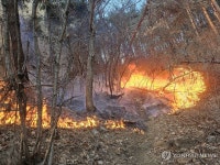 강릉 성산면 칠봉산서 산불