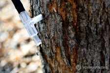 건강을 담은 한 방울