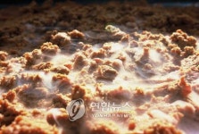 [K-VIBE] 최만순의 약이 되는 K-푸드…뚝배기보다 장맛의 의미