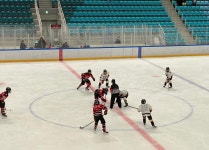 강원 학생 선수단 전국동계체전 활약…학교 빙상부 창단 탄력