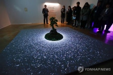 전통정원과 연못