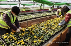 싱그러운 봄철 초화