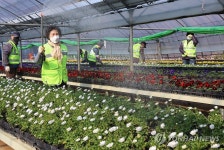 활짝 핀 봄초화