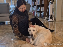 [샷!] 갑자기 가족잃은 저와 둥이가 같은 처지라 생각
