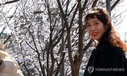 효창공원 앞 태극기 거리 조성