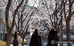 효창공원 앞 태극기 거리 조성
