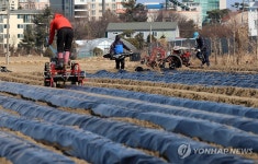 영농철 맞아 바쁜 농촌…강릉 송정동 들녘