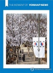 [모멘트] 효창공원 앞 태극기 거리 조성