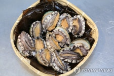 박지원 값 하락 완도·해남 전복, 군 급식용 확대 공급