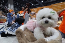 2025 서울 반려동물 박람회