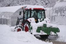 제설 작업 중인 고성평화양묘사업소