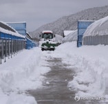 제설 작업 중인 고성평화양묘사업소