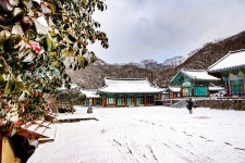 [imazine] 서해의 남쪽 끝, 보배섬 진도 ② 진정한 예향